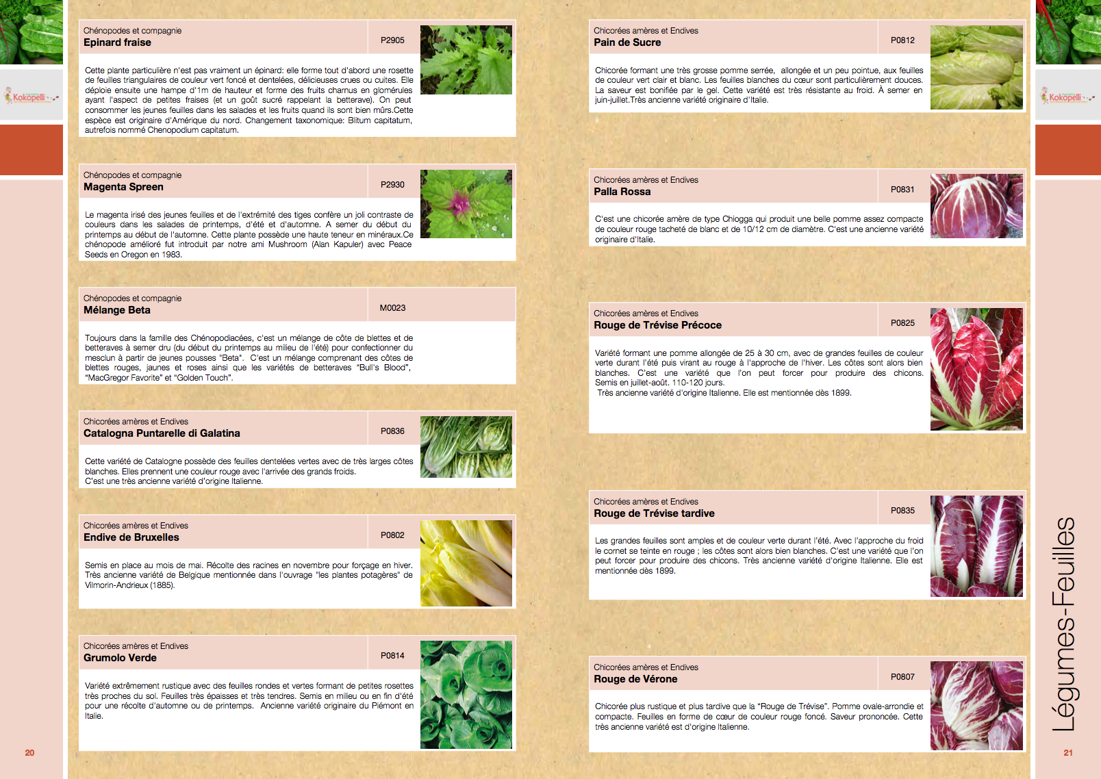 exemple catalogue plantes fleurs.png