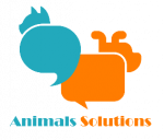 Animals solutions.png
